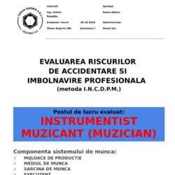 Evaluarea riscurilor de accidentare si imbolnavire profesionala Instrumentist Muzicant Muzician