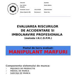 Evaluarea riscurilor de accidentare si imbolnavire profesionala Manipulant Marfuri