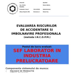 Evaluarea riscurilor de accidentare si imbolnavire profesionala Sef Laborator in Industria Prelucratoare