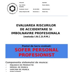 Evaluarea riscurilor de accidentare si imbolnavire profesionala Sofer Personal Profesionist